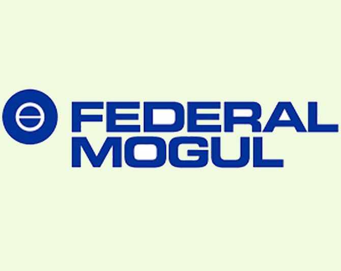 Federal Mogul