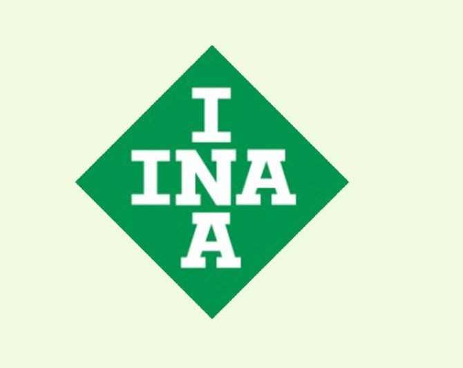 IINAA